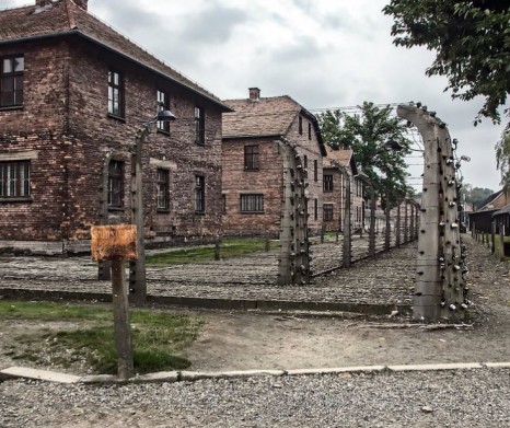 Auschwitz - Birkenau from Krakow (Transportation &amp; Entry Ticket &amp; Guidebook)